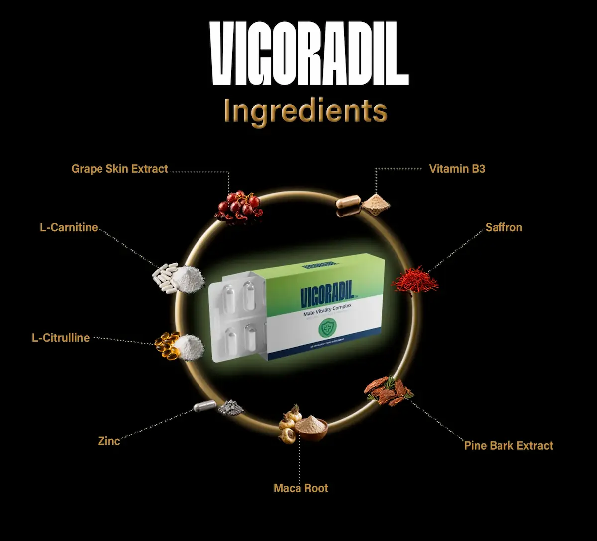 Vigoradil Ingredients
